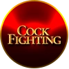 cock fighting